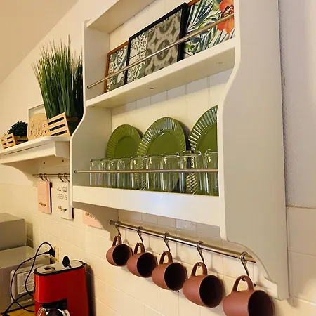 Flats 24 * דיסבורג